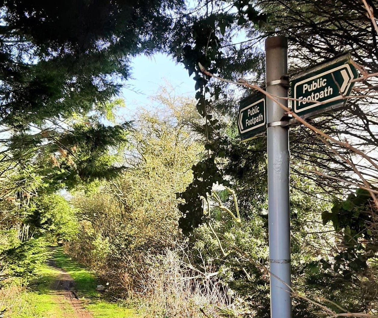 generic footpath photo